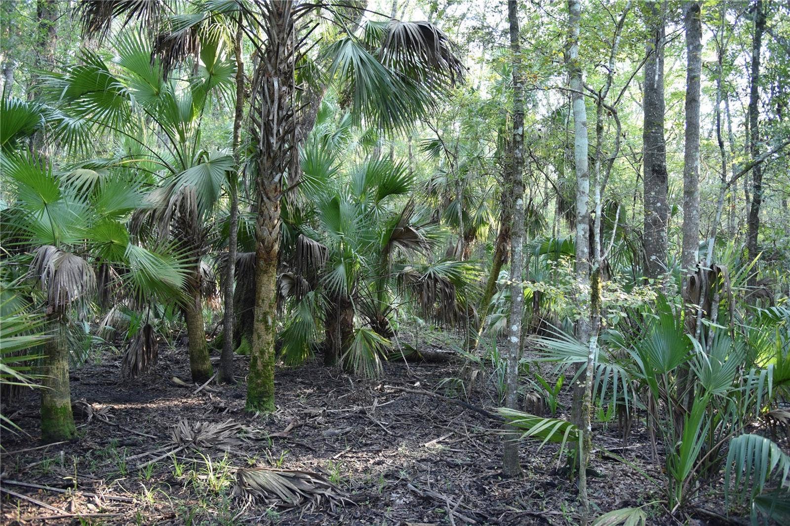 MIDDLE ROAD, Hilliard, FL 32046 MIDDLE ROAD, Hilliard, FL 32046