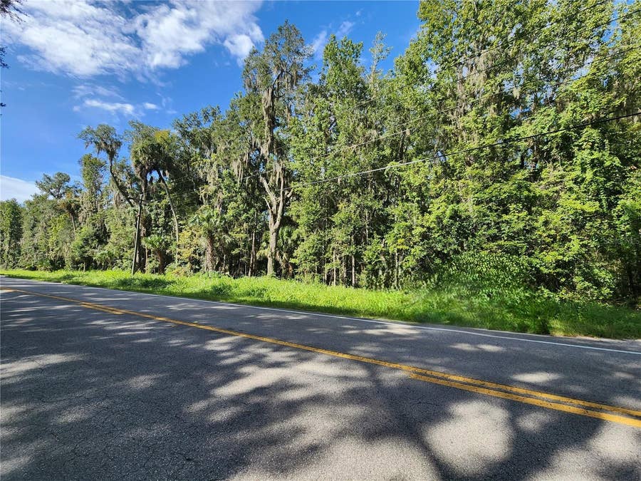 Property photo for 00 COUNTY ROAD 329, Micanopy, FL