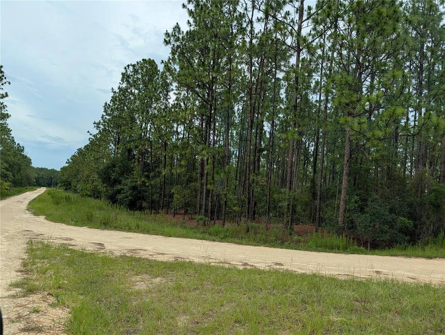 Property photo for SW TBD SW 125TH COURT ROAD, Ocala, FL