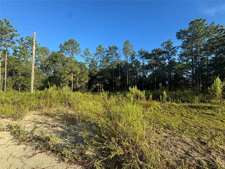 Property photo for 16327 SW 24TH PLACE, Ocala, FL