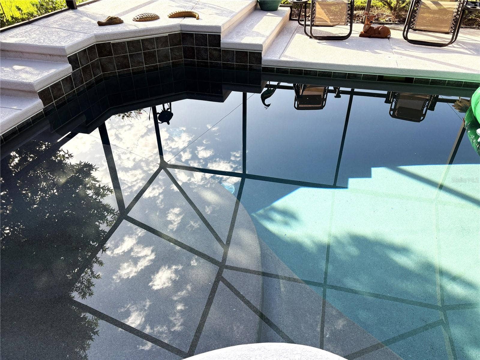 19588 SW 86TH LANE, Dunnellon, FL 34432 Pool has a sun shelf