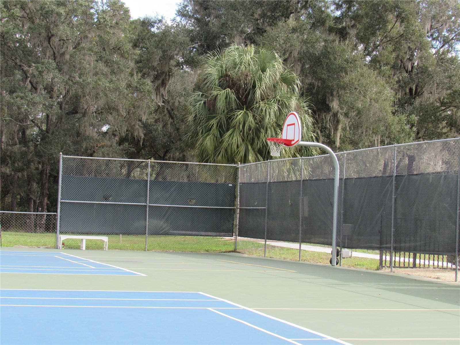 19588 SW 86TH LANE, Dunnellon, FL 34432 basketball hoop