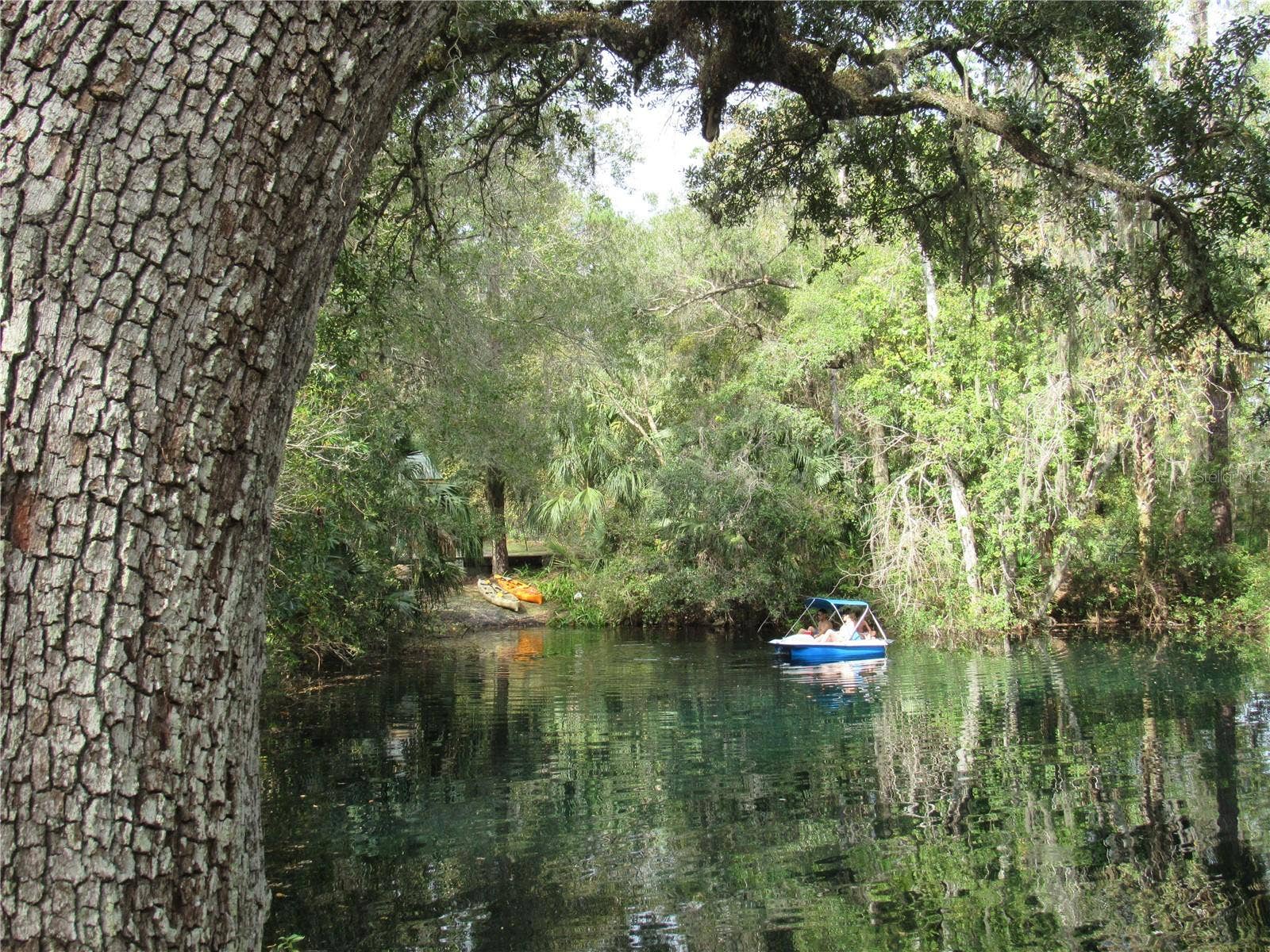 19588 SW 86TH LANE, Dunnellon, FL 34432 launch area at river park