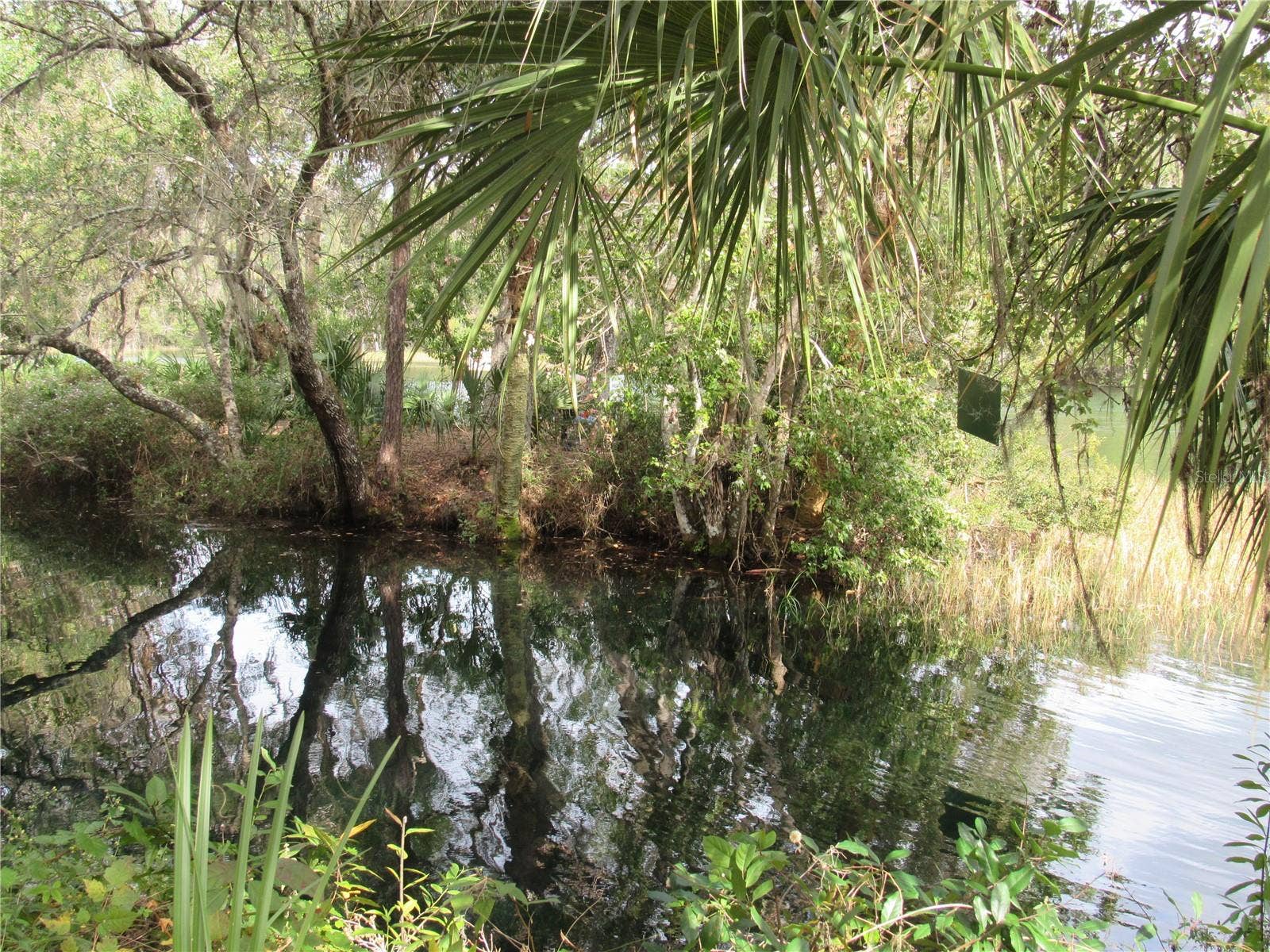 19588 SW 86TH LANE, Dunnellon, FL 34432 launch lagoon
