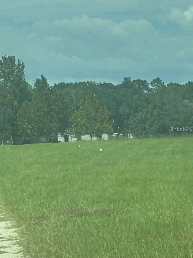 Property photo for 9851 NE 60 STREET, Bronson, FL