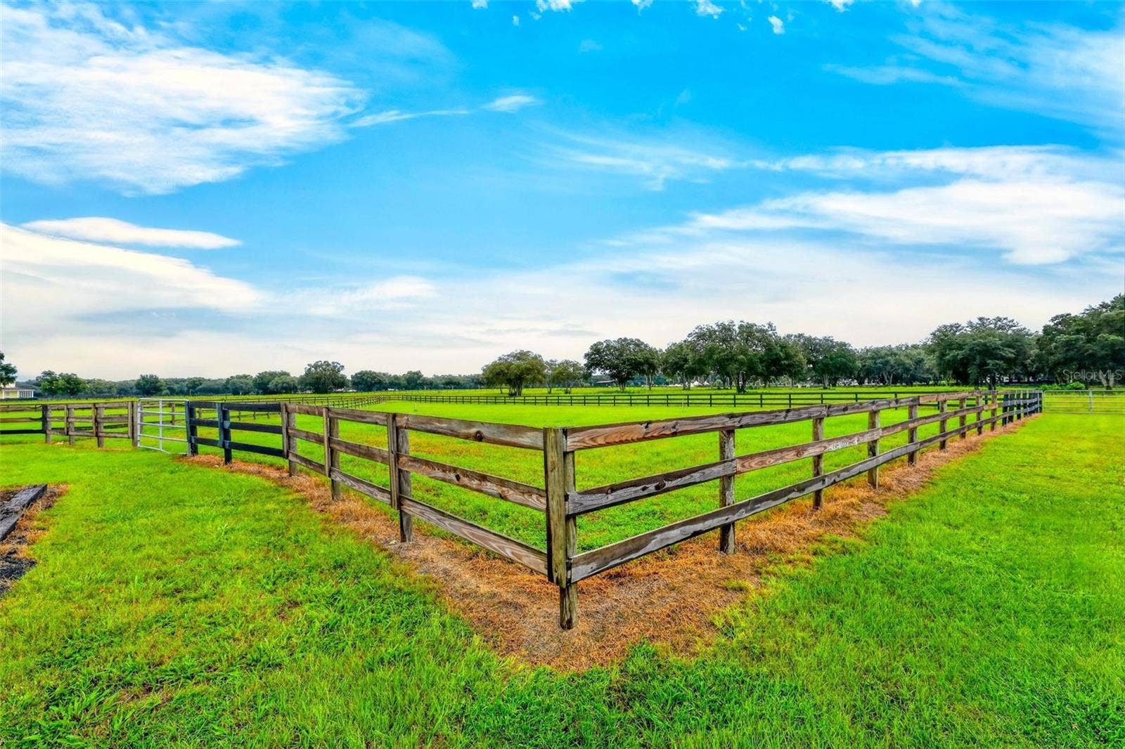 4991 SE 212TH COURT, Morriston, FL 32668