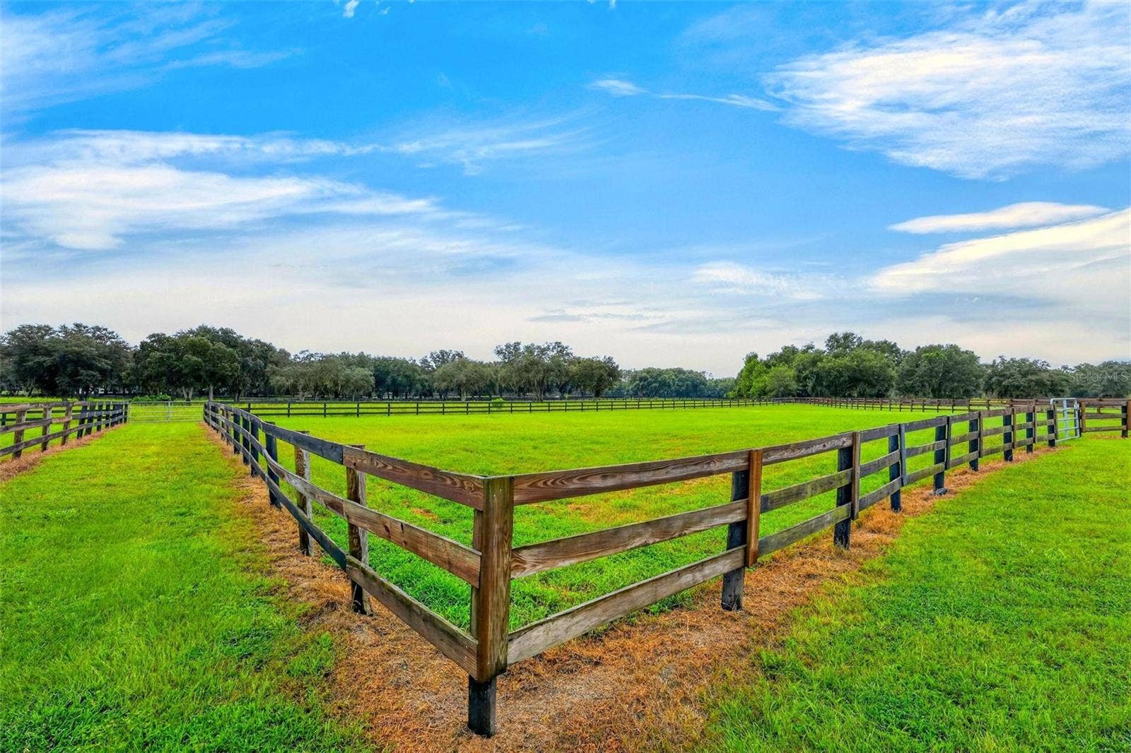 4991 SE 212TH COURT, Morriston, FL 32668