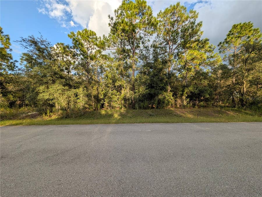 Property photo for NW BUENA VISTA ROAD, Dunnellon, FL