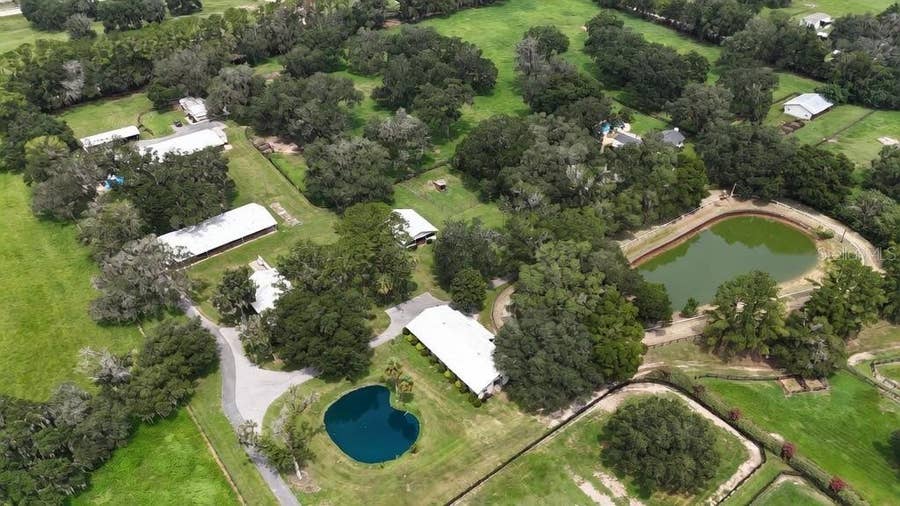 Property photo for 13450 NW GAINESVILLE ROAD, #Option 2, Reddick, FL