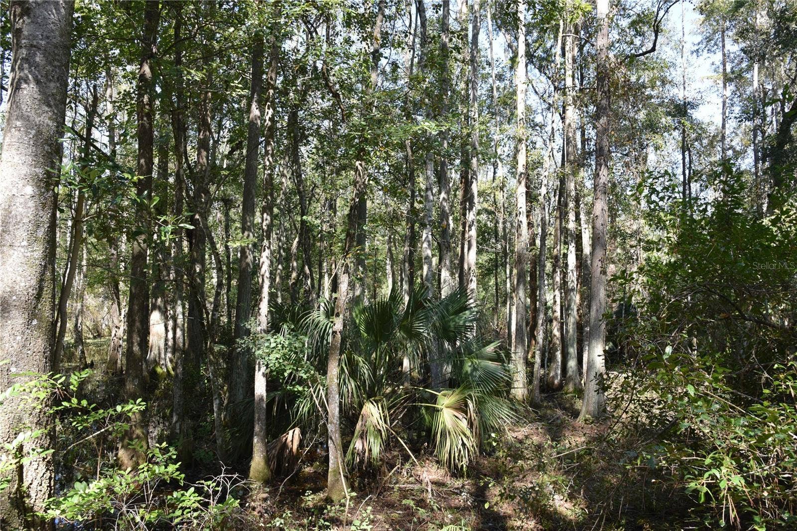 SE 24TH AVE, Hawthorne, FL 32640 SE 24TH AVE, Hawthorne, FL 32640