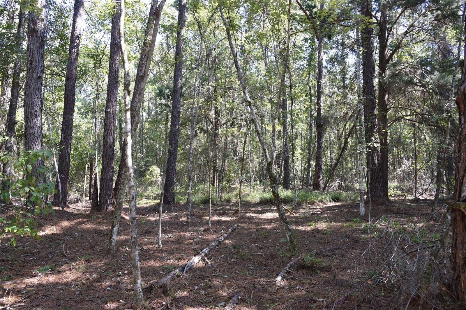 SE 24TH AVE, Hawthorne, FL 32640 SE 24TH AVE, Hawthorne, FL 32640