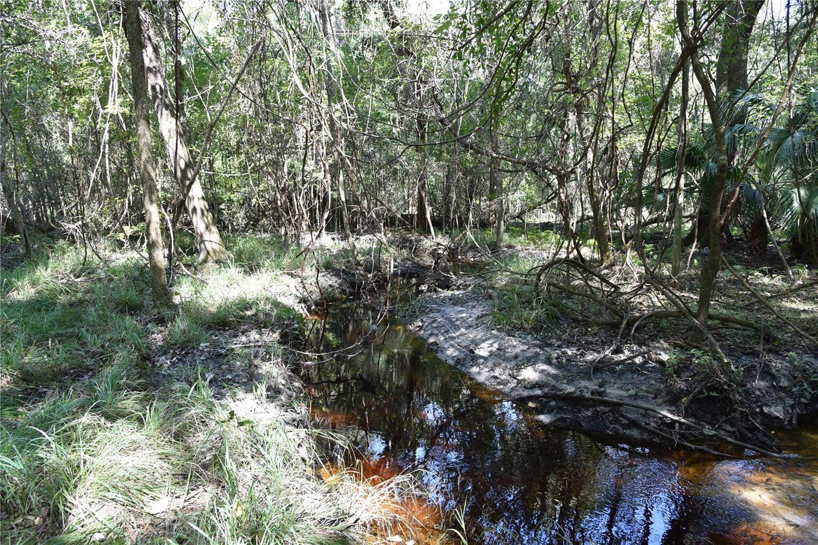 SE 24TH AVE, Hawthorne, FL 32640 SE 24TH AVE, Hawthorne, FL 32640