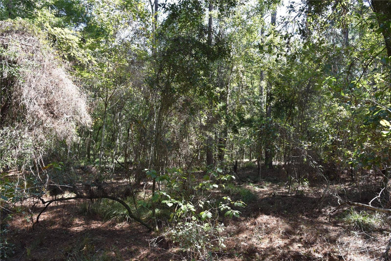 SE 24TH AVE, Hawthorne, FL 32640 SE 24TH AVE, Hawthorne, FL 32640