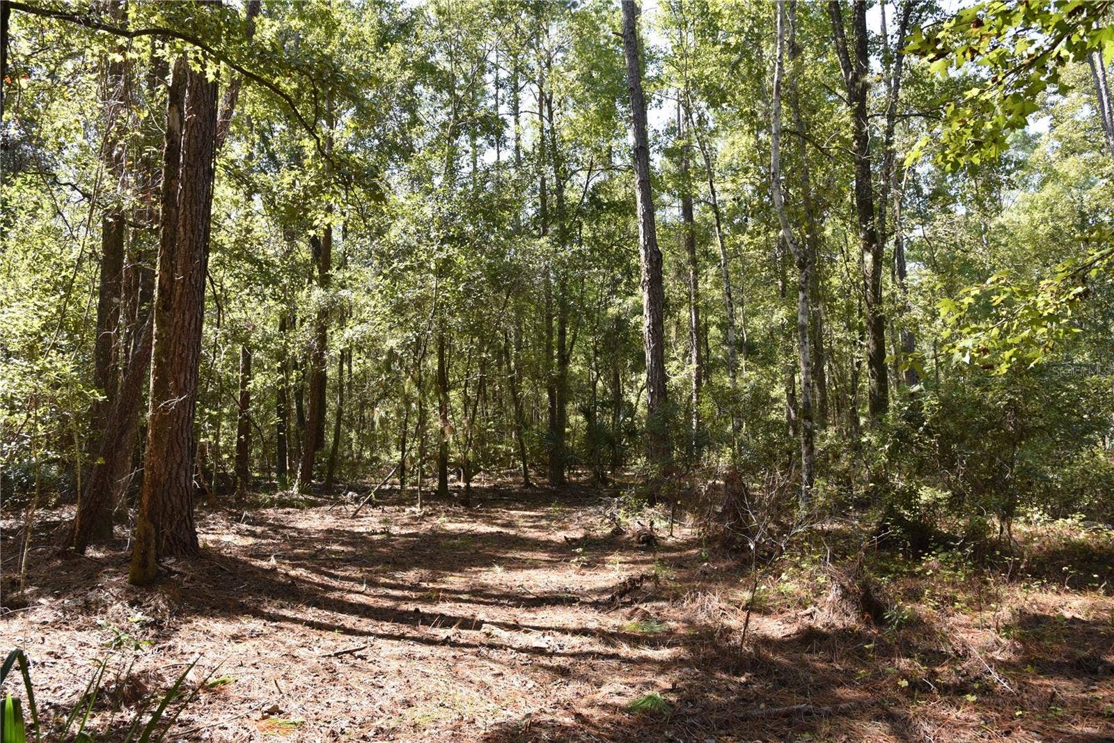 SE 24TH AVE, Hawthorne, FL 32640 SE 24TH AVE, Hawthorne, FL 32640