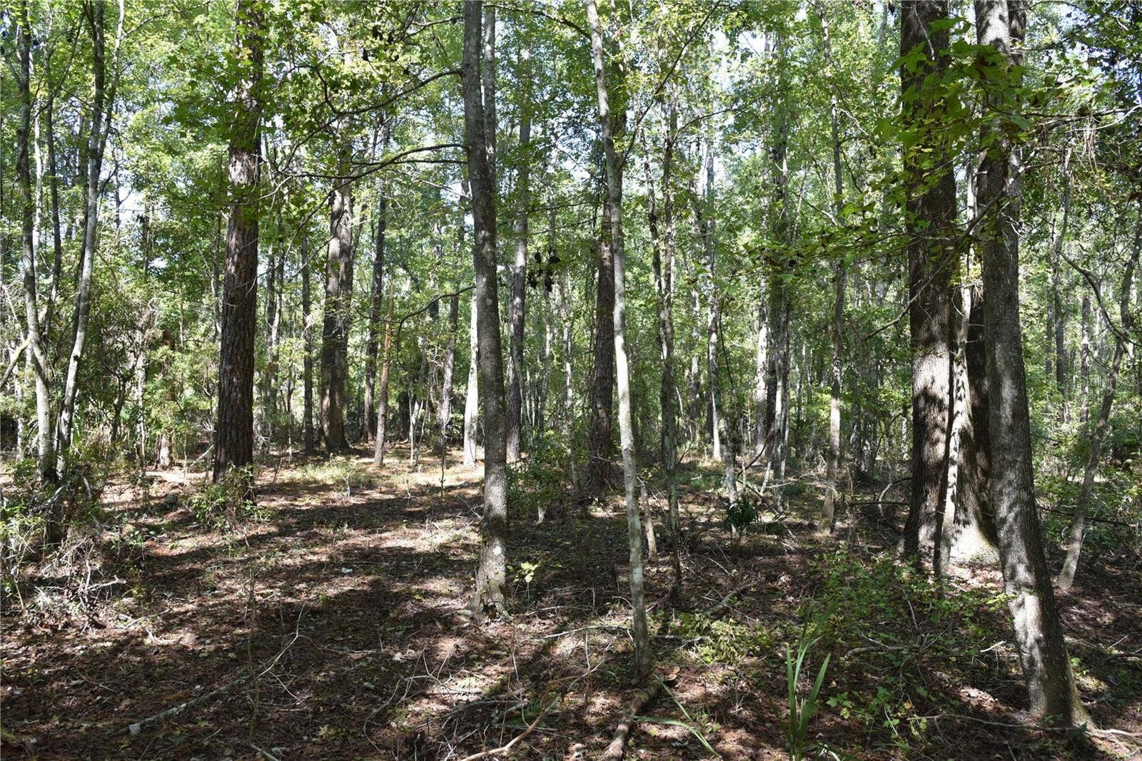 SE 24TH AVE, Hawthorne, FL 32640 SE 24TH AVE, Hawthorne, FL 32640