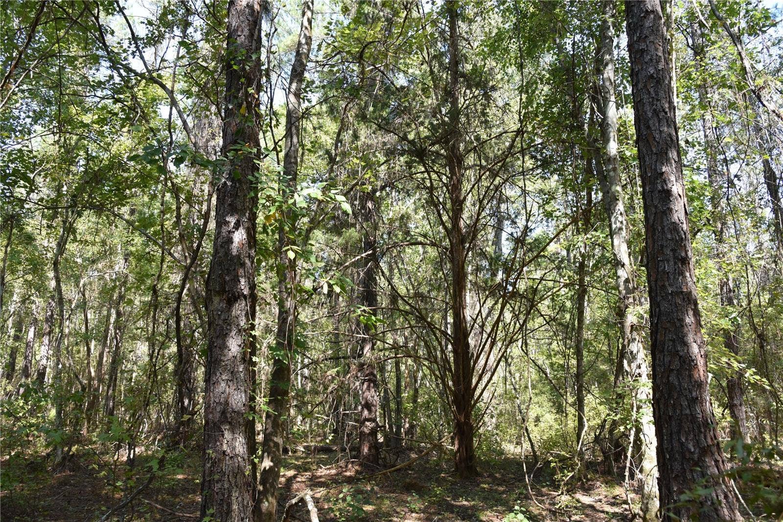 SE 24TH AVE, Hawthorne, FL 32640 SE 24TH AVE, Hawthorne, FL 32640