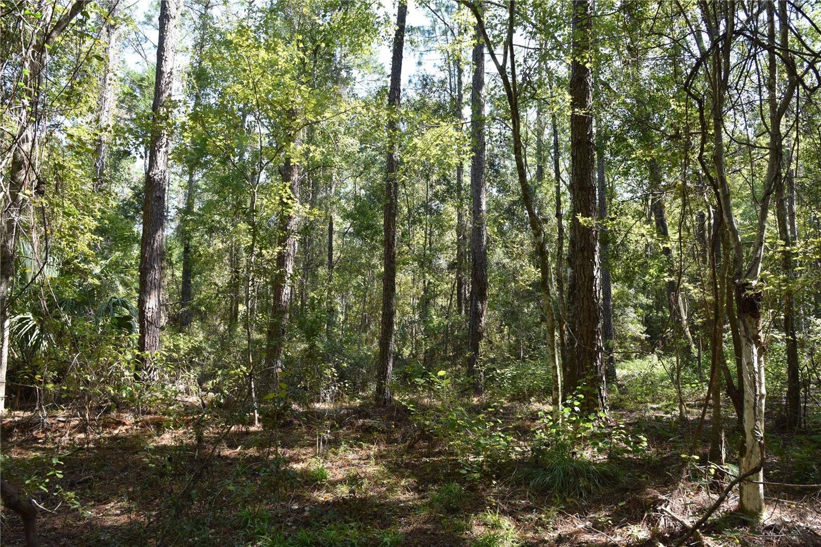 SE 24TH AVE, Hawthorne, FL 32640 SE 24TH AVE, Hawthorne, FL 32640