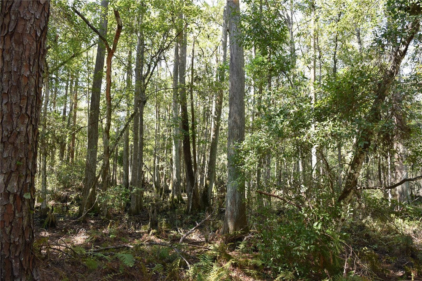 SE 24TH AVE, Hawthorne, FL 32640 SE 24TH AVE, Hawthorne, FL 32640