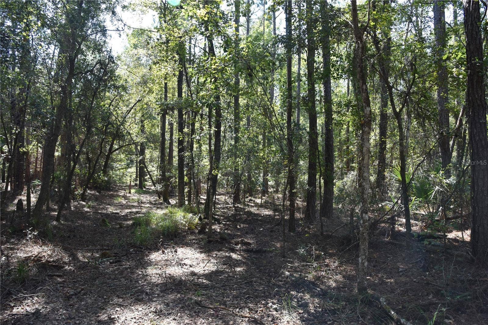SE 24TH AVE, Hawthorne, FL 32640 SE 24TH AVE, Hawthorne, FL 32640