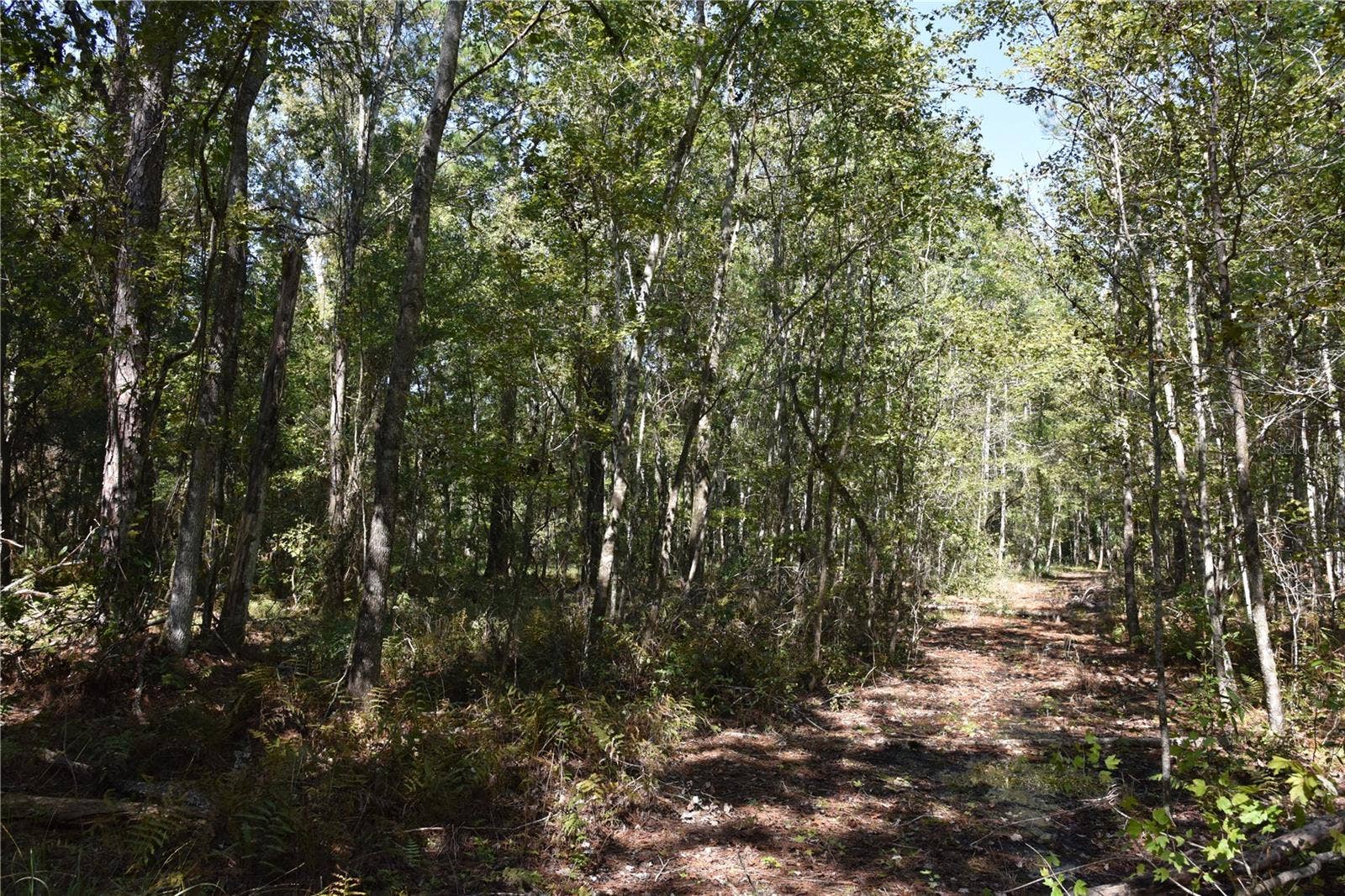 SE 24TH AVE, Hawthorne, FL 32640 SE 24TH AVE, Hawthorne, FL 32640