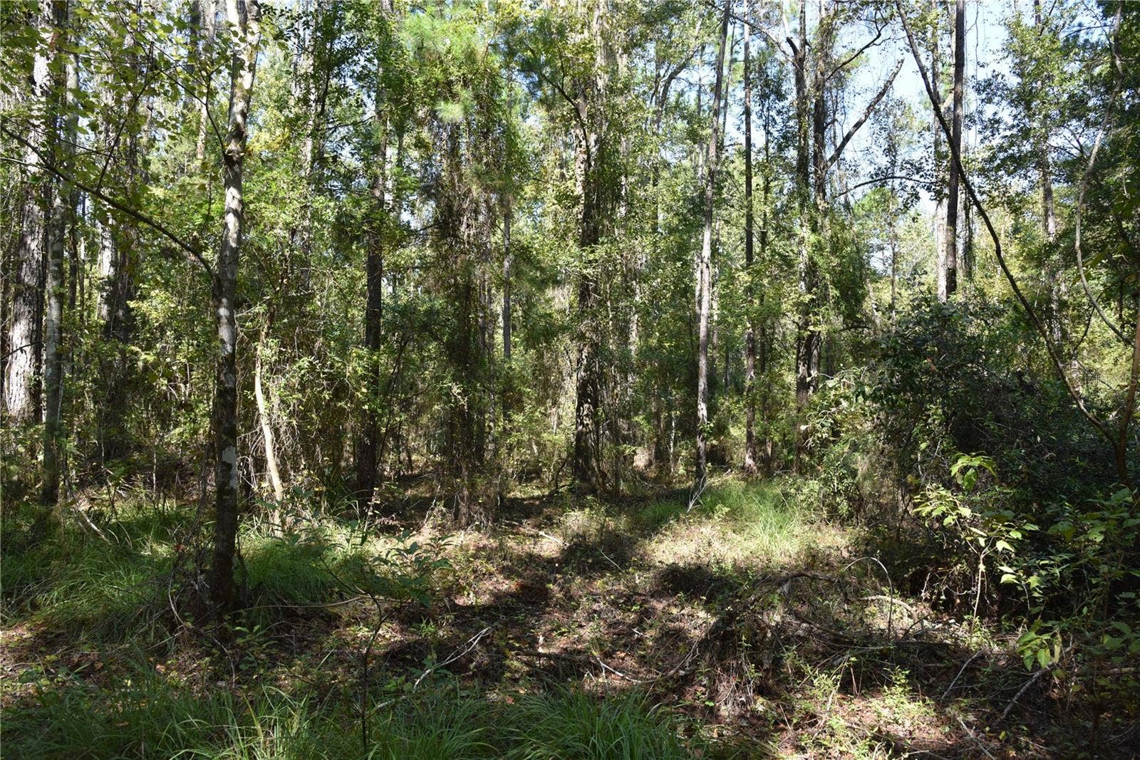 SE 24TH AVE, Hawthorne, FL 32640 SE 24TH AVE, Hawthorne, FL 32640