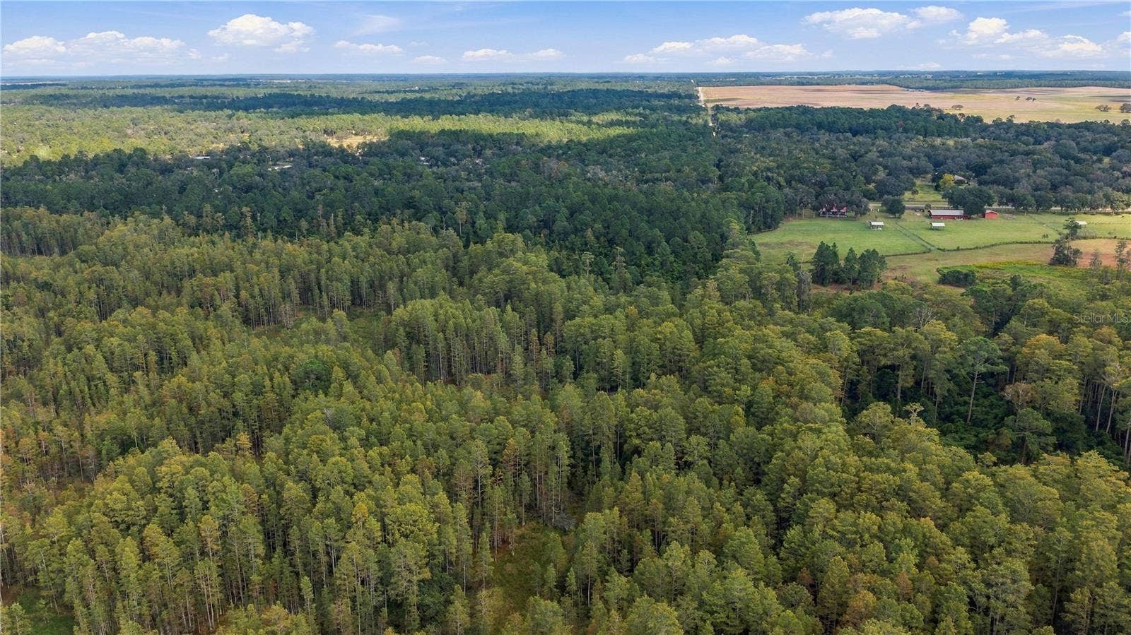 TBD CR 337, Morriston, FL 32668