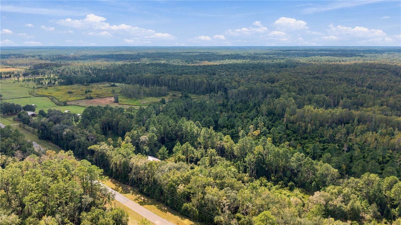TBD CR 337, Morriston, FL 32668