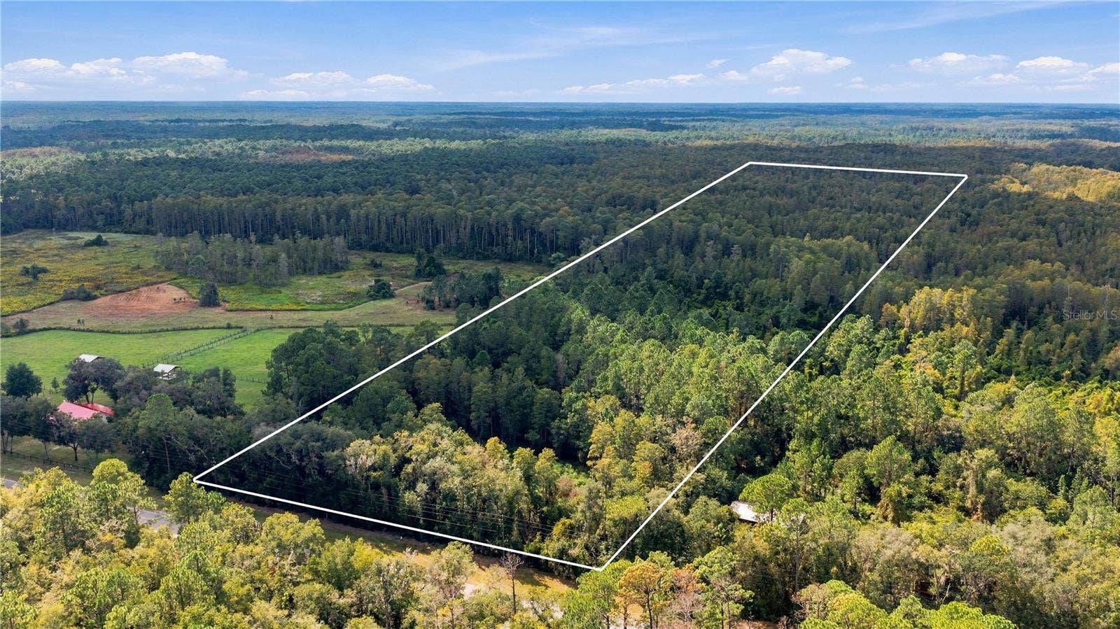 TBD CR 337, Morriston, FL 32668