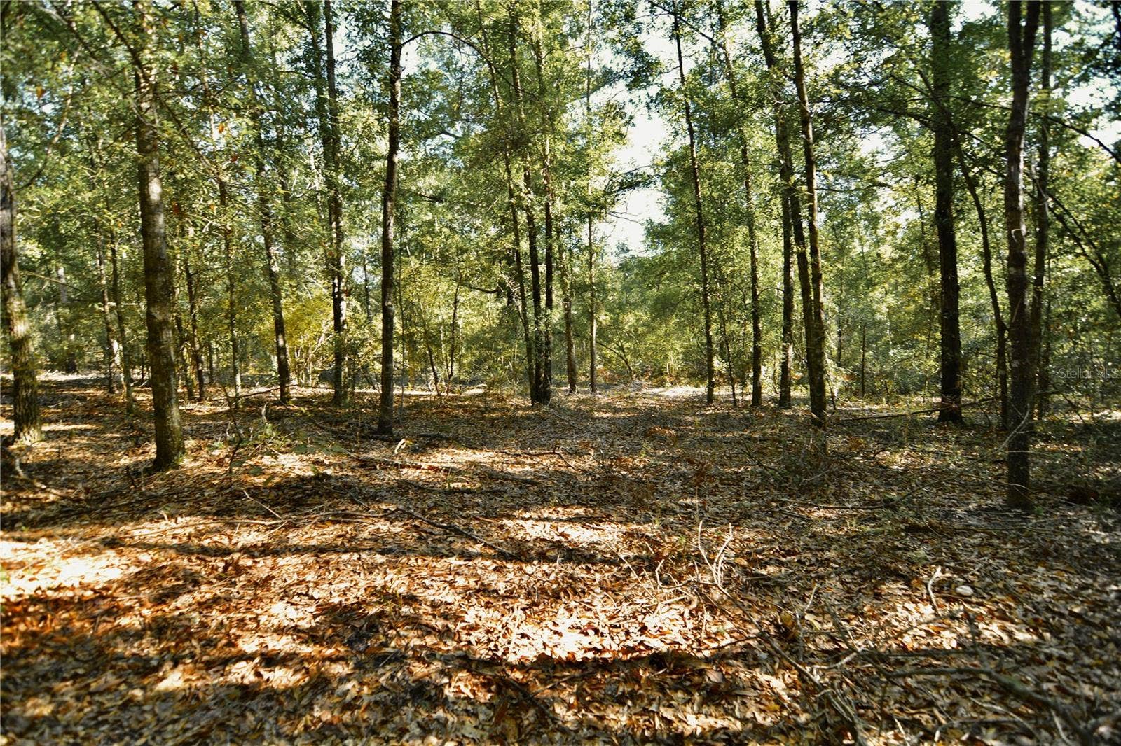 00 SW 40TH AVE, Jasper, FL 32052 00 SW 40TH AVE, Jasper, FL 32052