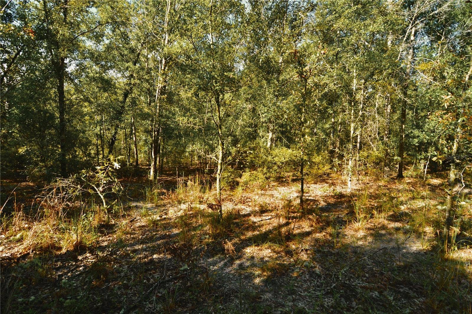 00 SW 40TH AVE, Jasper, FL 32052 00 SW 40TH AVE, Jasper, FL 32052