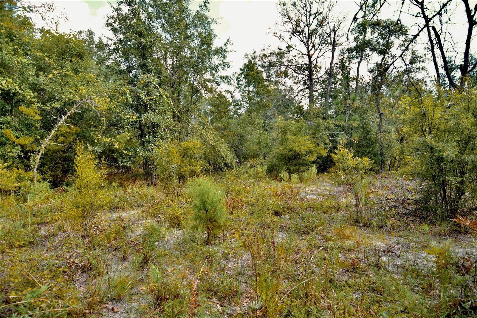 00 SW 40TH AVE, Jasper, FL 32052 00 SW 40TH AVE, Jasper, FL 32052