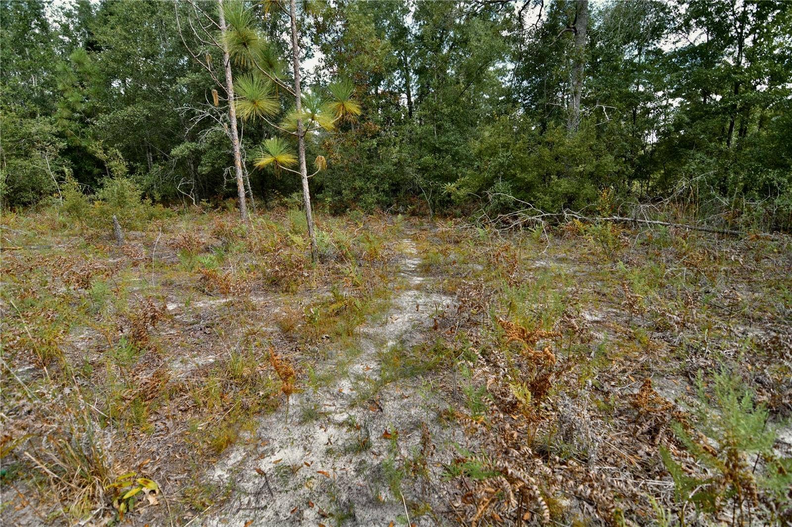00 SW 40TH AVE, Jasper, FL 32052 00 SW 40TH AVE, Jasper, FL 32052