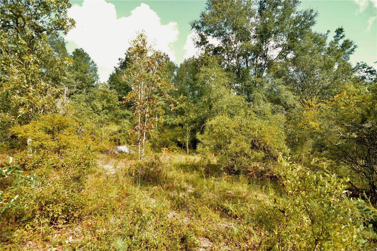 00 SW 40TH AVE, Jasper, FL 32052 00 SW 40TH AVE, Jasper, FL 32052