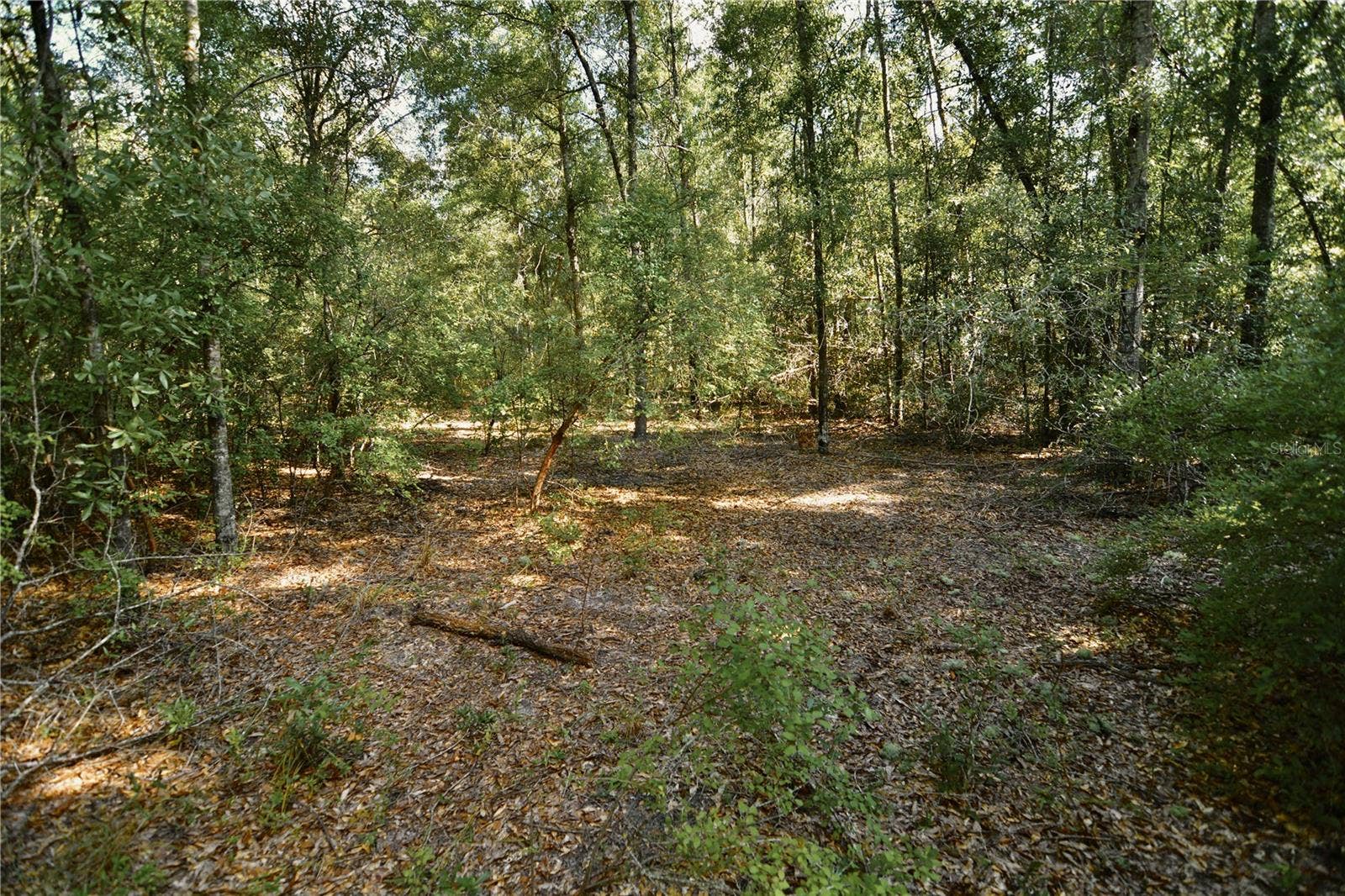 00 SW 40TH AVE, Jasper, FL 32052 00 SW 40TH AVE, Jasper, FL 32052