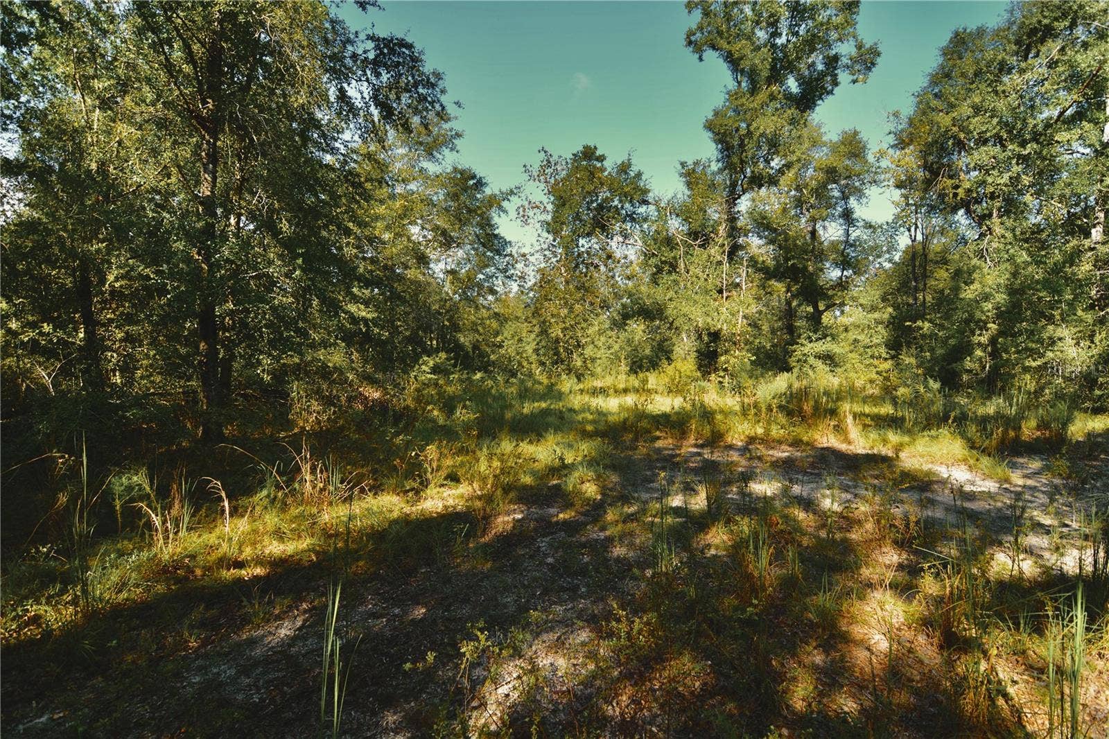 00 SW 40TH AVE, Jasper, FL 32052 00 SW 40TH AVE, Jasper, FL 32052