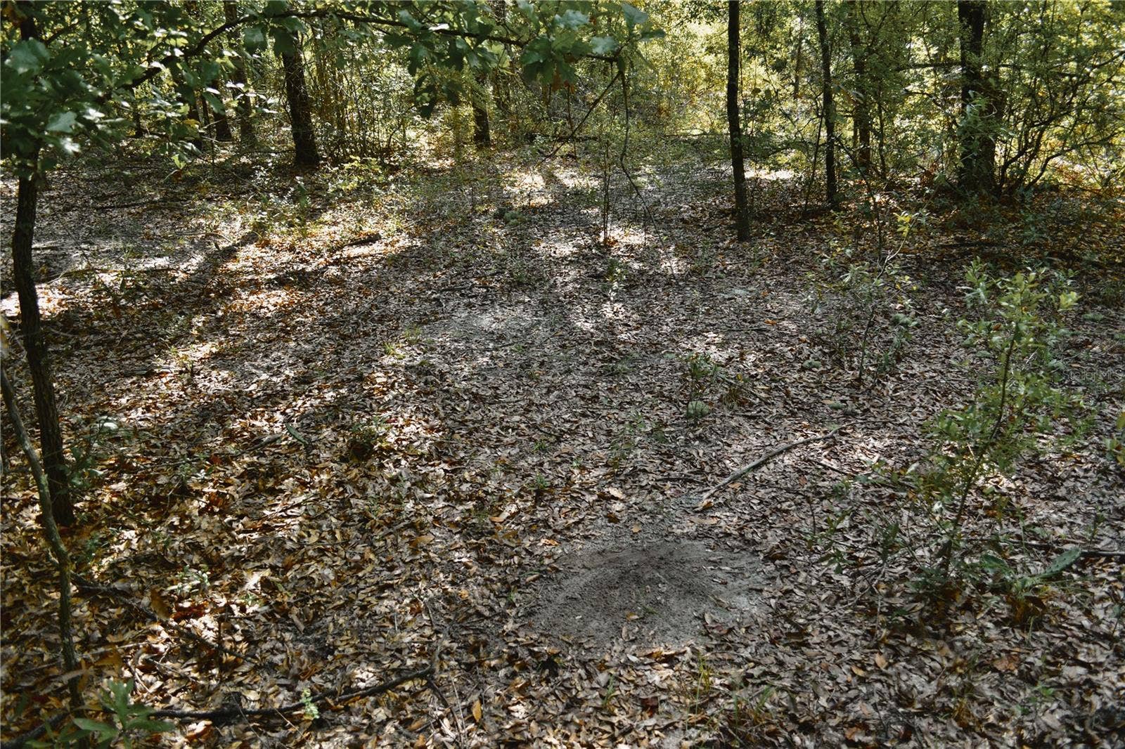 00 SW 40TH AVE, Jasper, FL 32052 00 SW 40TH AVE, Jasper, FL 32052