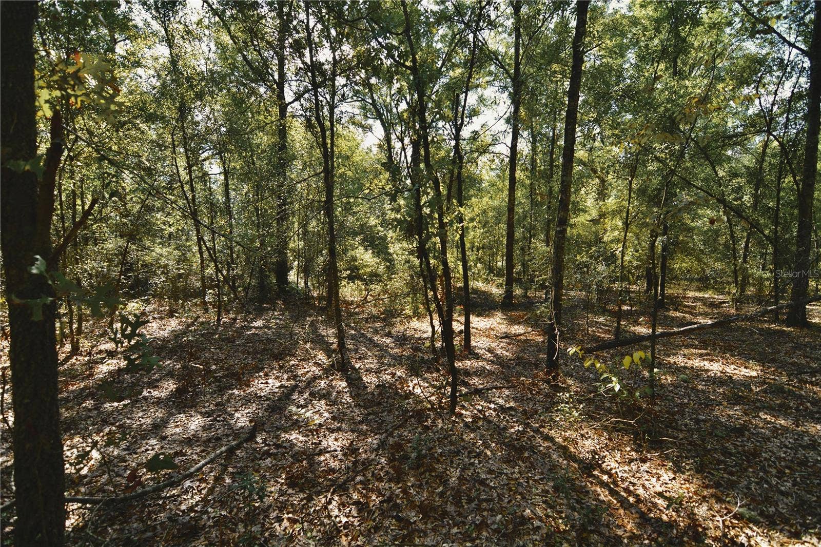 00 SW 40TH AVE, Jasper, FL 32052 00 SW 40TH AVE, Jasper, FL 32052