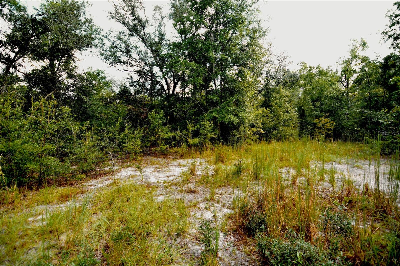 00 SW 40TH AVE, Jasper, FL 32052 00 SW 40TH AVE, Jasper, FL 32052