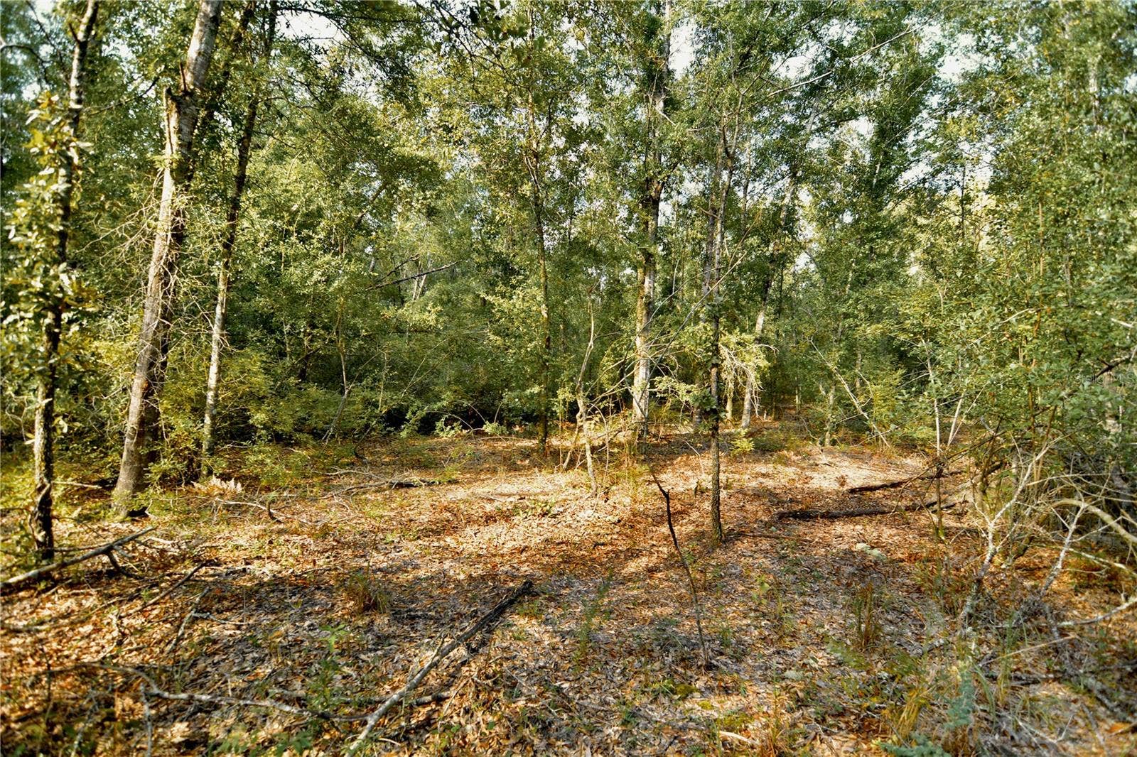 00 SW 40TH AVE, Jasper, FL 32052 00 SW 40TH AVE, Jasper, FL 32052