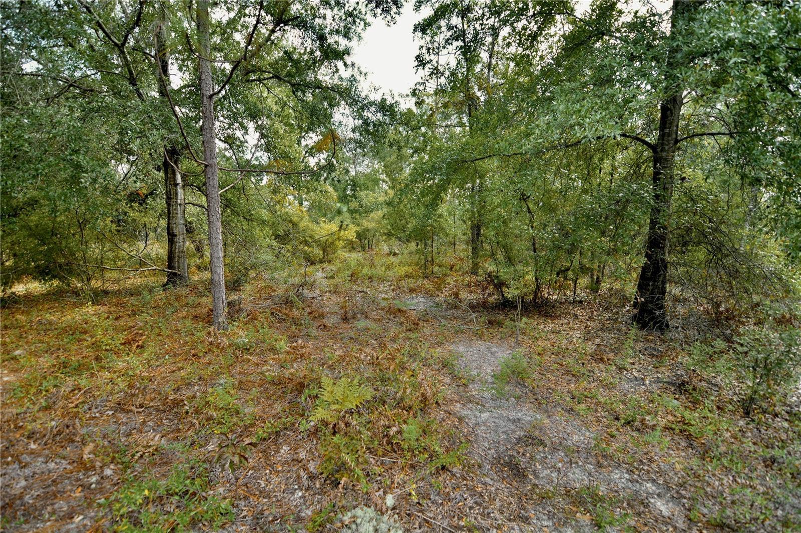 00 SW 40TH AVE, Jasper, FL 32052 00 SW 40TH AVE, Jasper, FL 32052