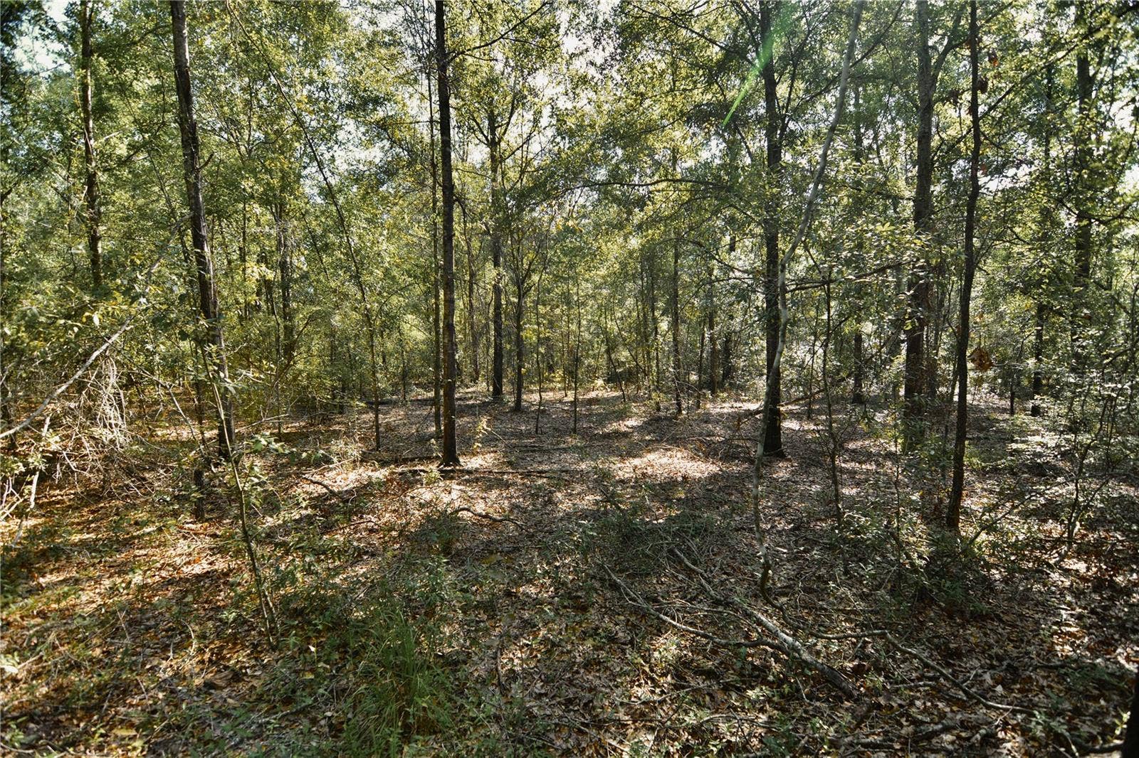 00 SW 40TH AVE, Jasper, FL 32052 00 SW 40TH AVE, Jasper, FL 32052