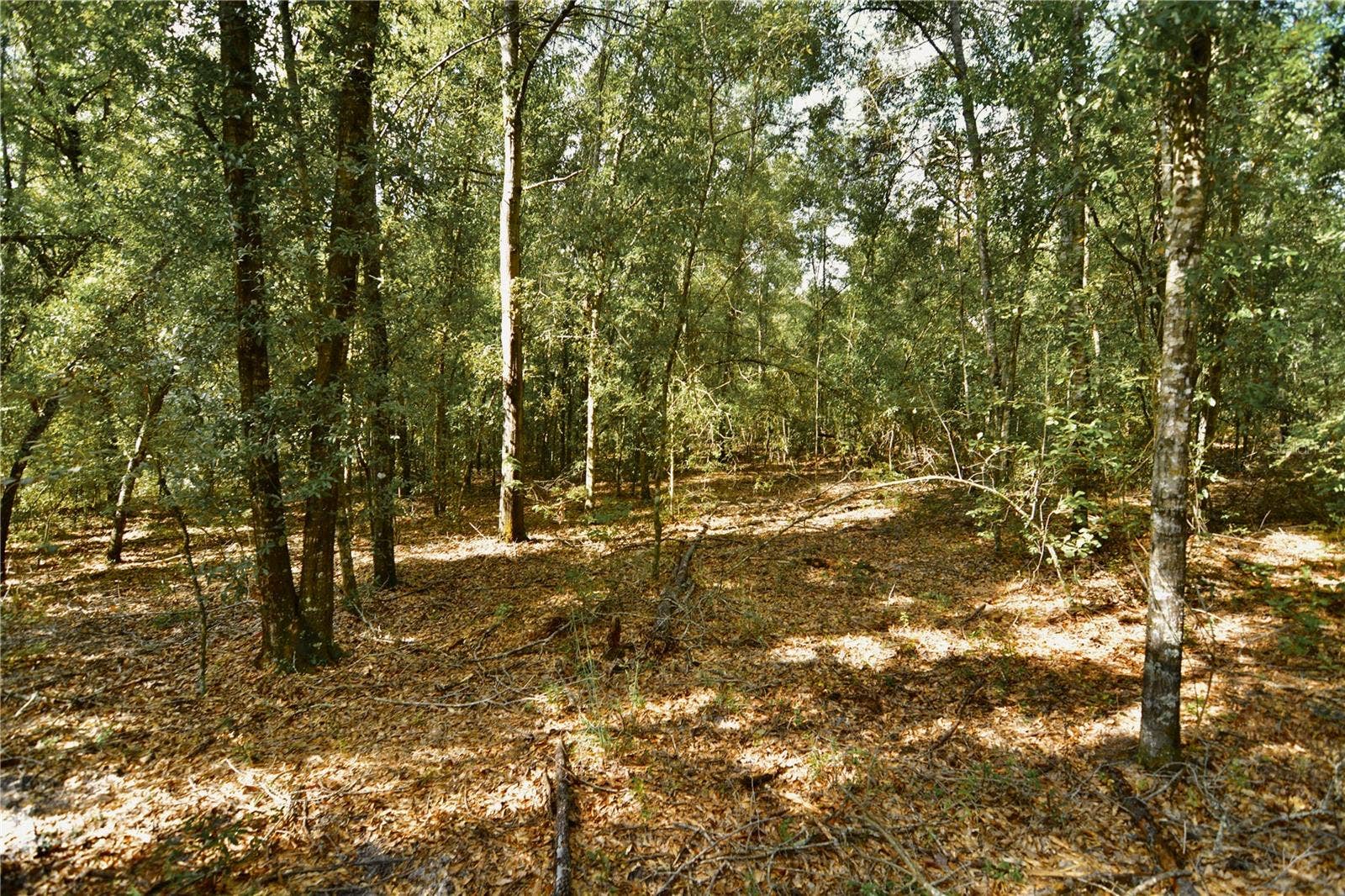00 SW 40TH AVE, Jasper, FL 32052 00 SW 40TH AVE, Jasper, FL 32052