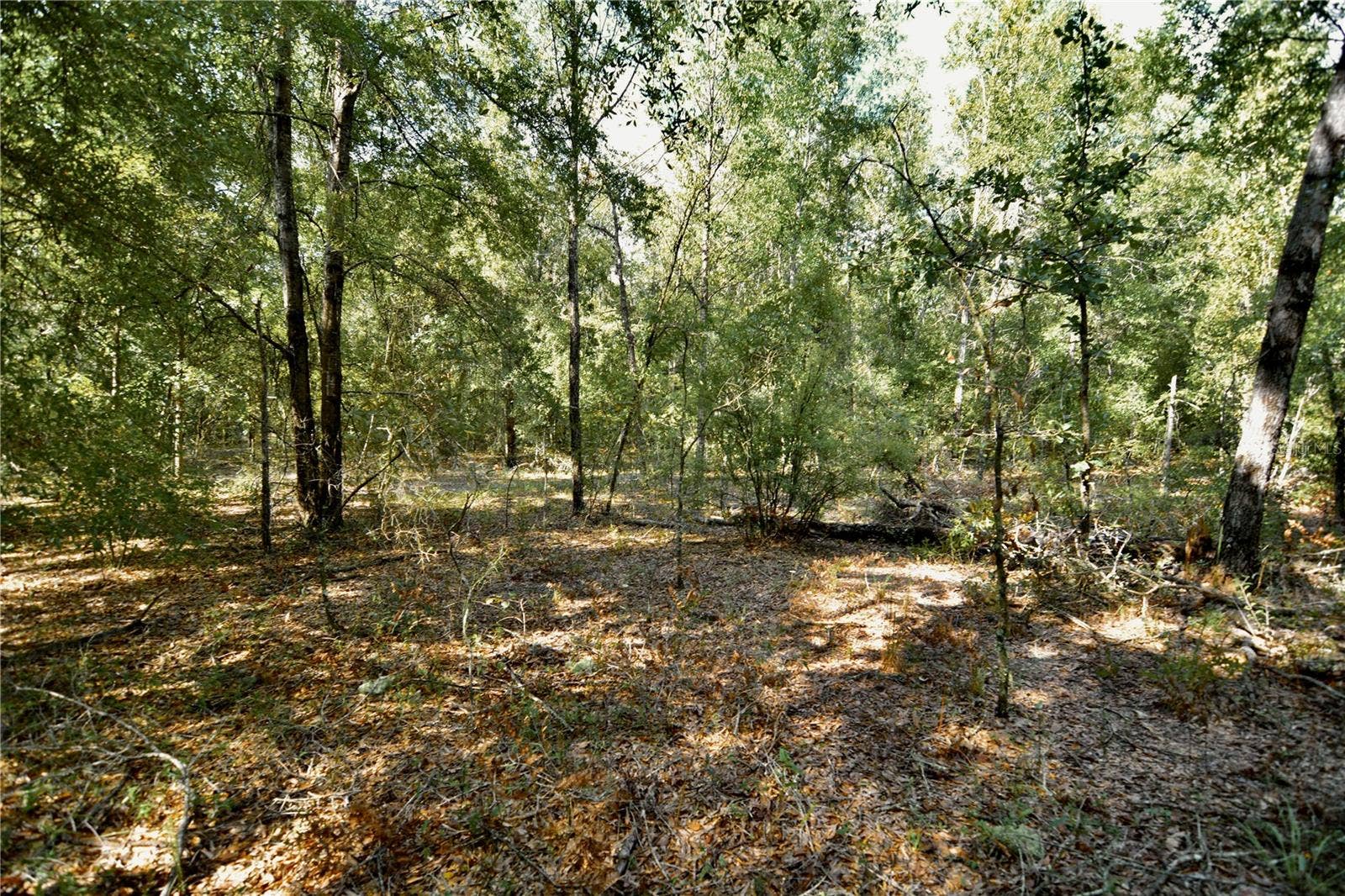 00 SW 40TH AVE, Jasper, FL 32052 00 SW 40TH AVE, Jasper, FL 32052