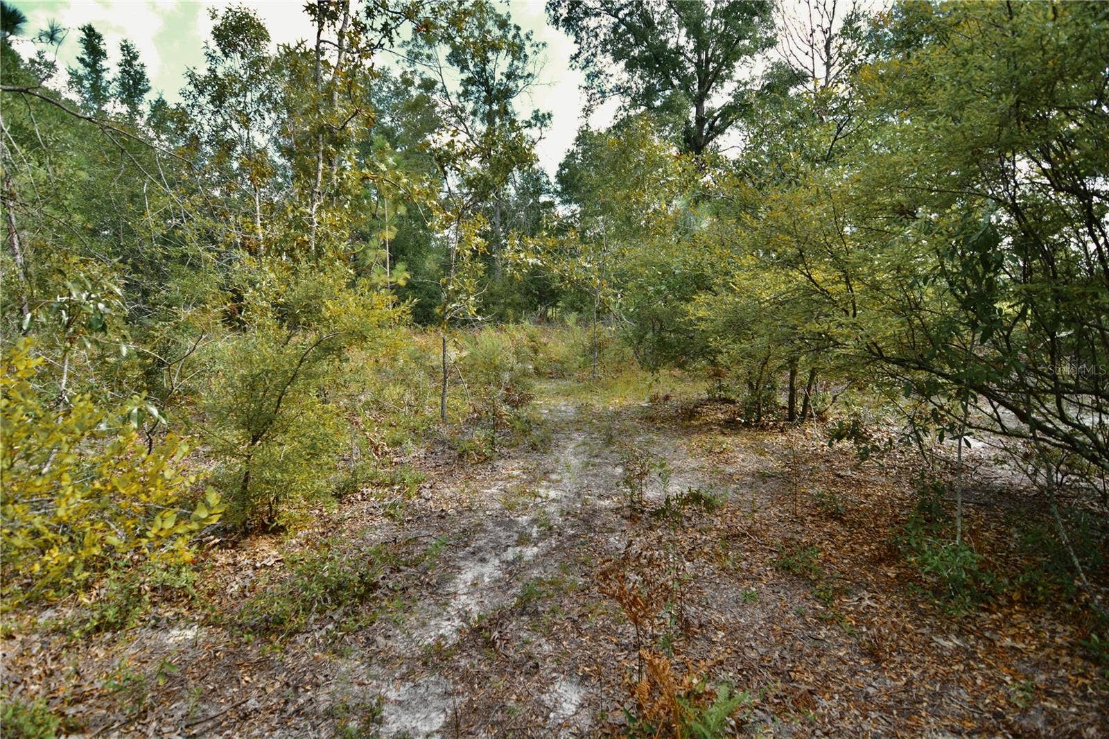 00 SW 40TH AVE, Jasper, FL 32052 00 SW 40TH AVE, Jasper, FL 32052