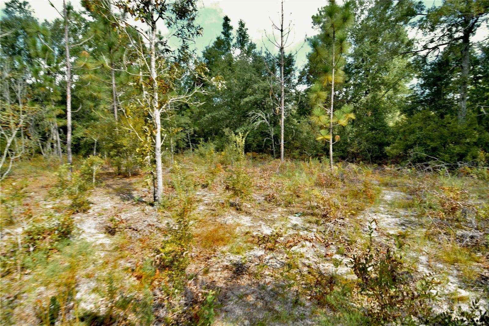 00 SW 40TH AVE, Jasper, FL 32052 00 SW 40TH AVE, Jasper, FL 32052