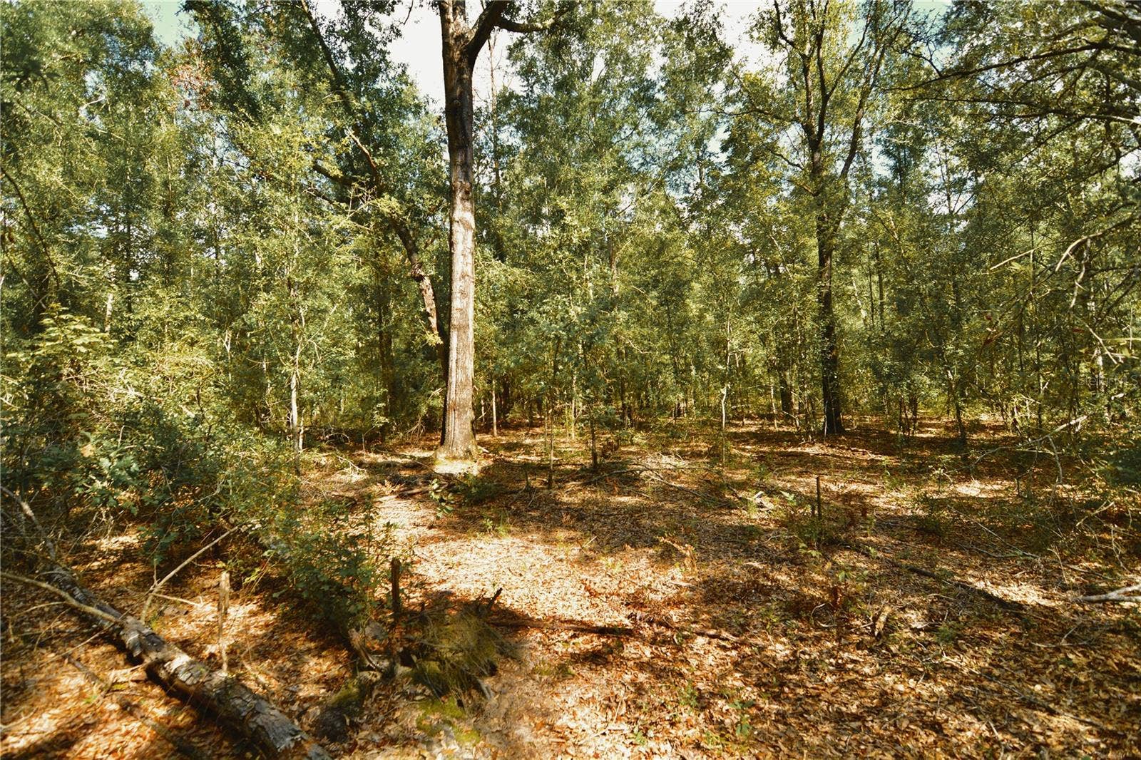 00 SW 40TH AVE, Jasper, FL 32052 00 SW 40TH AVE, Jasper, FL 32052