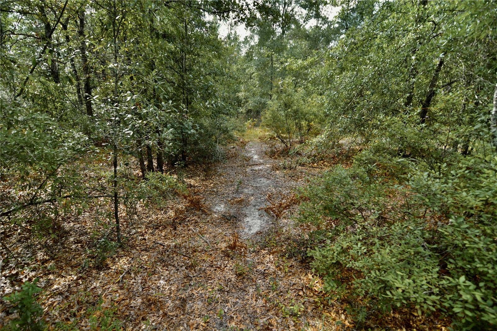 00 SW 40TH AVE, Jasper, FL 32052 00 SW 40TH AVE, Jasper, FL 32052