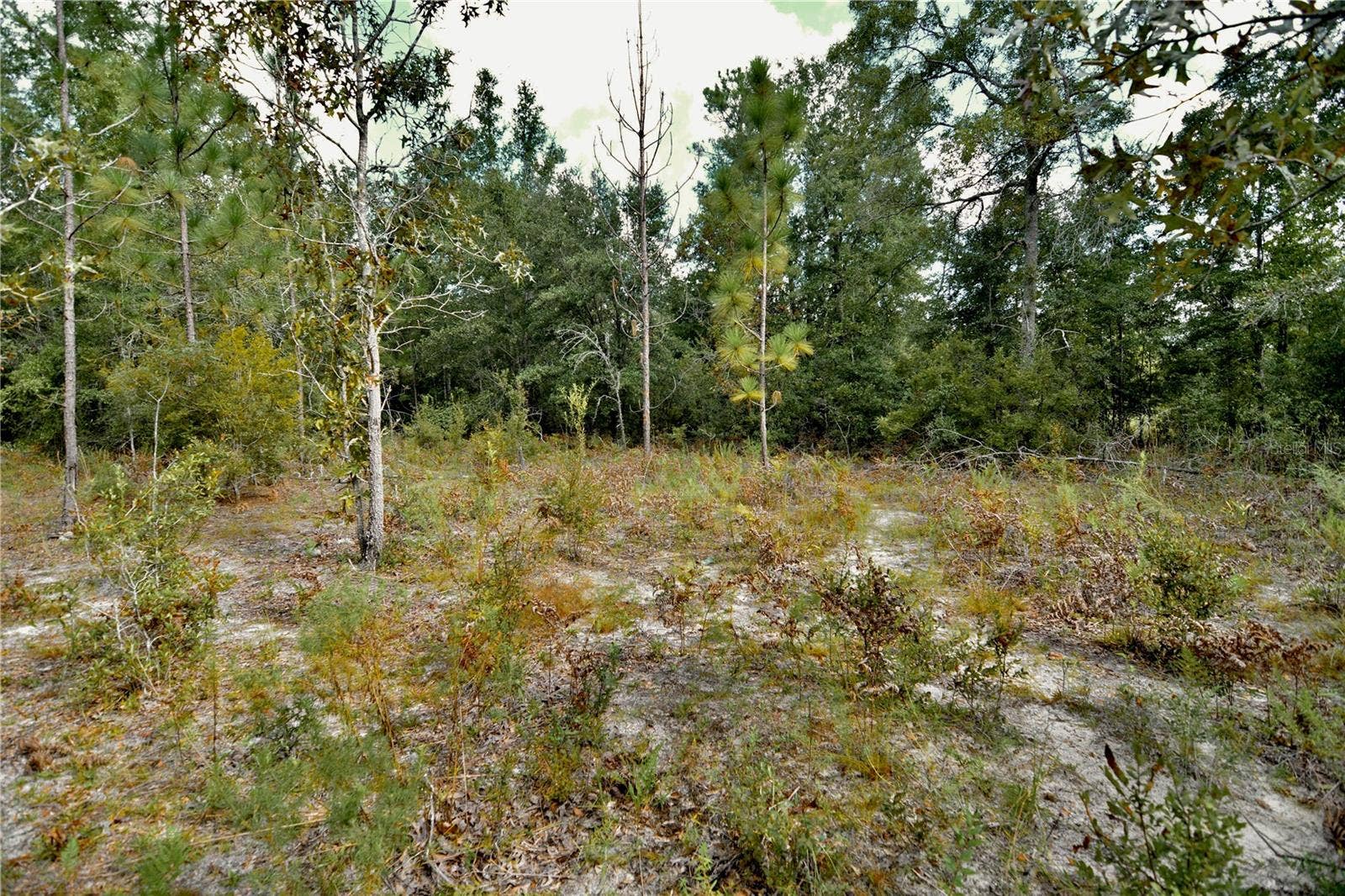 00 SW 40TH AVE, Jasper, FL 32052 00 SW 40TH AVE, Jasper, FL 32052
