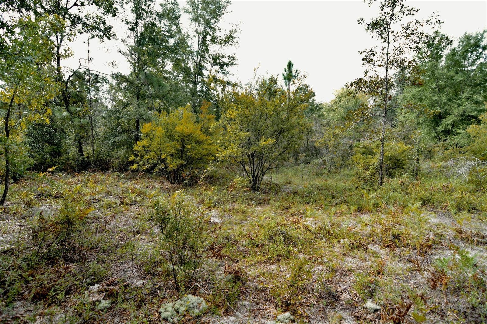 00 SW 40TH AVE, Jasper, FL 32052 00 SW 40TH AVE, Jasper, FL 32052