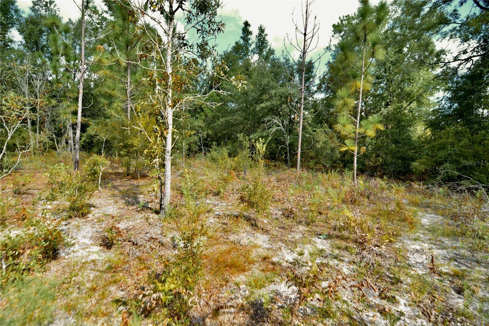 00 SW 40TH AVE, Jasper, FL 32052 00 SW 40TH AVE, Jasper, FL 32052